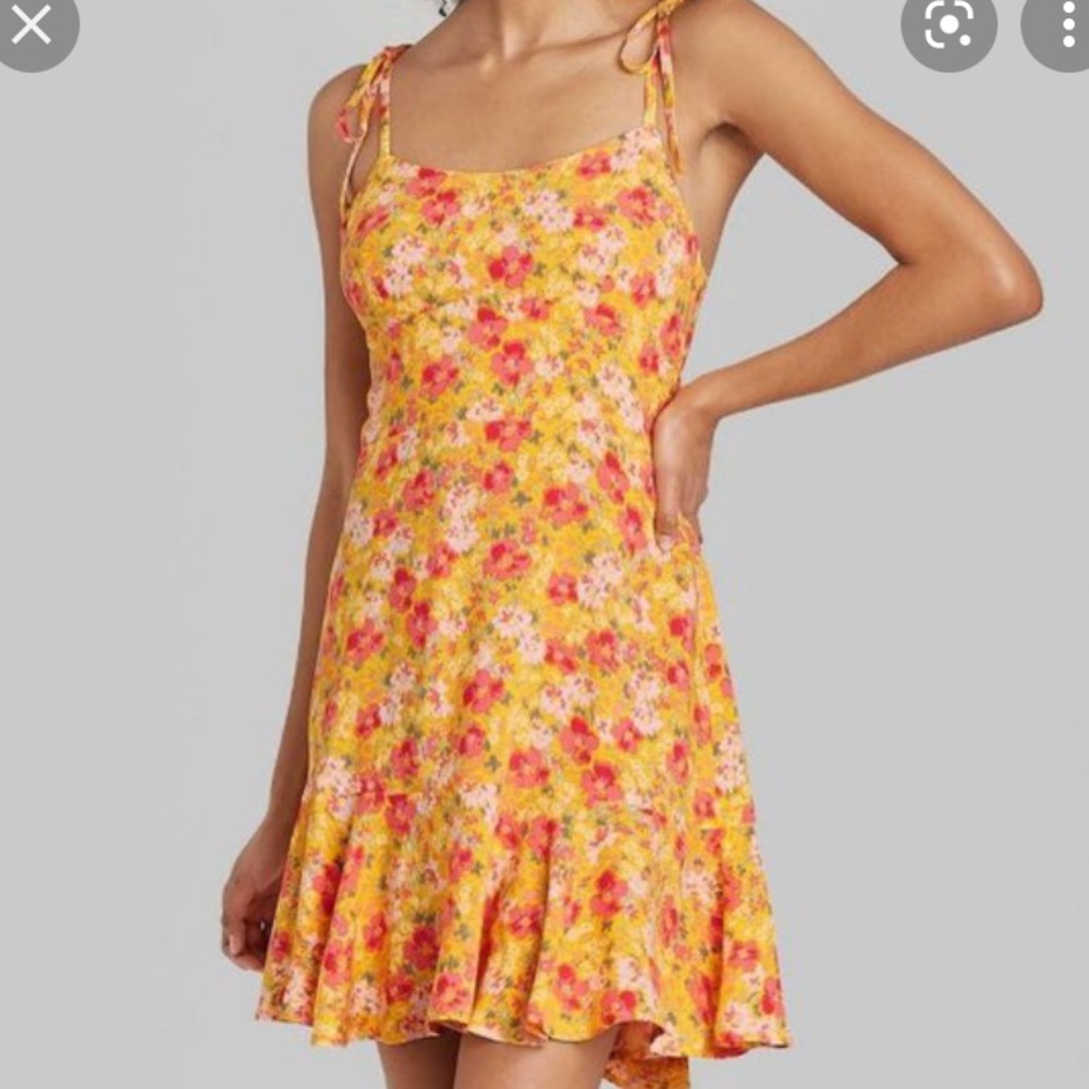 NWT Target Wild Fable Dress